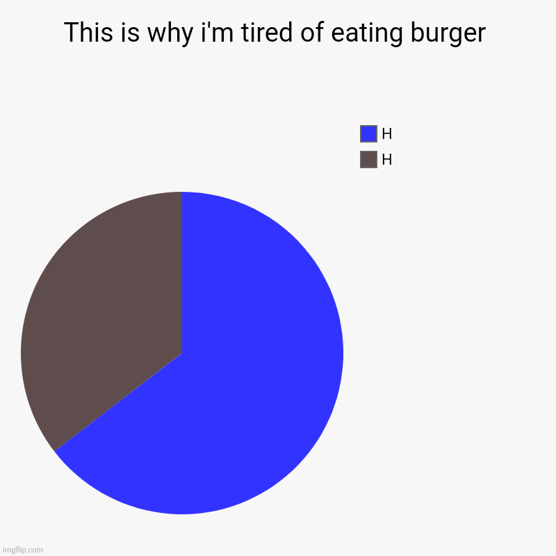 This is why i'm tired of eating burger | H, H | image tagged in charts,pie charts | made w/ Imgflip chart maker
