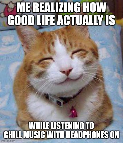 ME REALIZING HOW GOOD LIFE ACTUALLY IS; WHILE LISTENING TO CHILL MUSIC WITH HEADPHONES ON | made w/ Imgflip meme maker