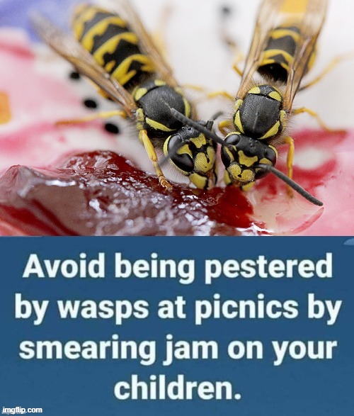 Wasps ! | image tagged in hungry kids | made w/ Imgflip meme maker