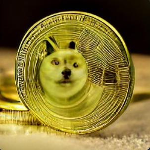 High Quality Doge Coin Blank Meme Template