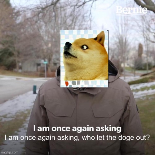 Doge burn | I am once again asking, who let the doge out? | image tagged in memes,bernie i am once again asking for your support,doge | made w/ Imgflip meme maker