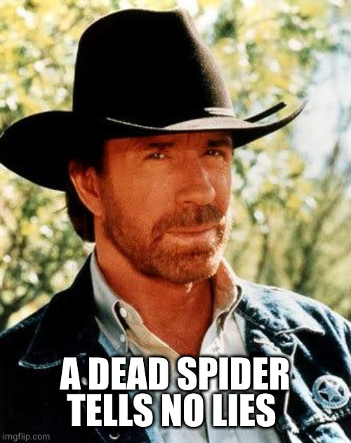 Chuck Norris Meme | A DEAD SPIDER TELLS NO LIES | image tagged in memes,chuck norris | made w/ Imgflip meme maker