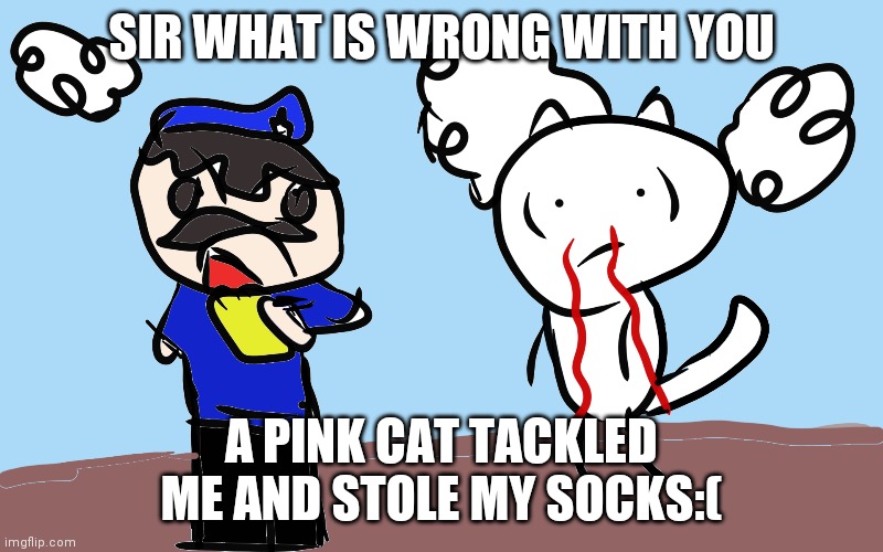 Sir what is wrong with you |  SIR WHAT IS WRONG WITH YOU; A PINK CAT TACKLED ME AND STOLE MY SOCKS:( | image tagged in funny | made w/ Imgflip meme maker