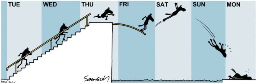 Anatomy of the week | image tagged in anatomy of the week | made w/ Imgflip meme maker