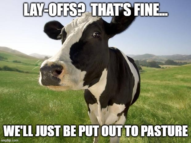 cow | LAY-OFFS?  THAT'S FINE... WE'LL JUST BE PUT OUT TO PASTURE | image tagged in cow | made w/ Imgflip meme maker