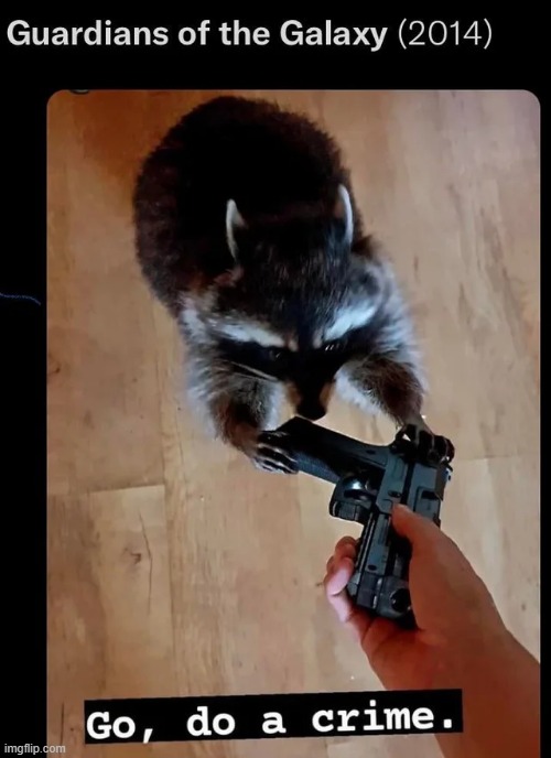 Oh I'm Gonna Get That Gun | image tagged in rocket raccoon | made w/ Imgflip meme maker