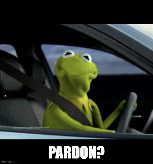 PARDON? | image tagged in kermit driving | made w/ Imgflip meme maker