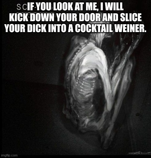 I AM COMING | IF YOU LOOK AT ME, I WILL KICK DOWN YOUR DOOR AND SLICE YOUR DICK INTO A COCKTAIL WEINER. | image tagged in scp-096 | made w/ Imgflip meme maker