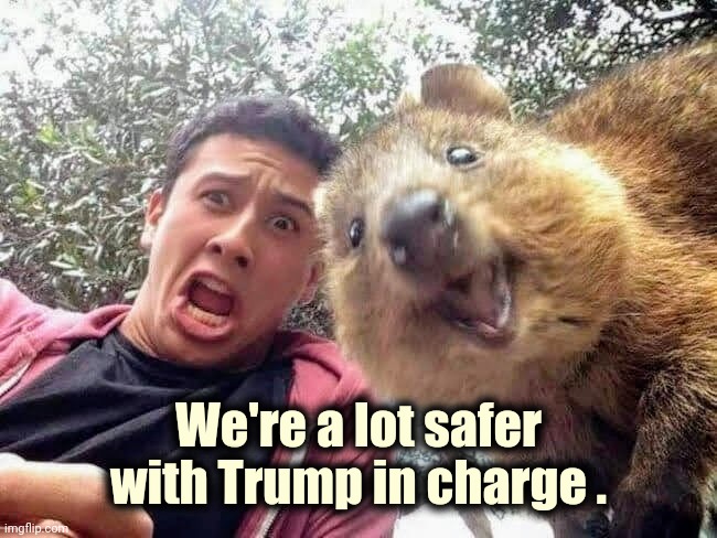 Quokka and Stan | We're a lot safer with Trump in charge . | image tagged in quokka and stan | made w/ Imgflip meme maker