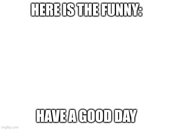 Blank White Template | HERE IS THE FUNNY:; HAVE A GOOD DAY | image tagged in blank white template | made w/ Imgflip meme maker