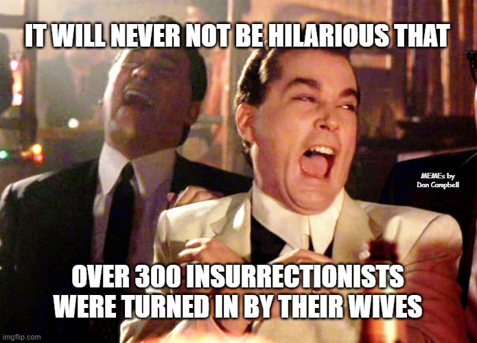 Good Fellas Hilarious | IT WILL NEVER NOT BE HILARIOUS THAT; MEMEs by Dan Campbell; OVER 300 INSURRECTIONISTS WERE TURNED IN BY THEIR WIVES | image tagged in memes,good fellas hilarious | made w/ Imgflip meme maker