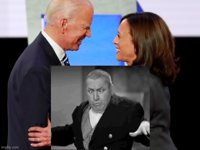 Biden Harris | image tagged in biden harris | made w/ Imgflip meme maker