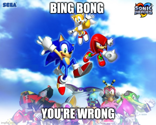 Sonic Heroes! | BING BONG YOU'RE WRONG | image tagged in sonic heroes | made w/ Imgflip meme maker