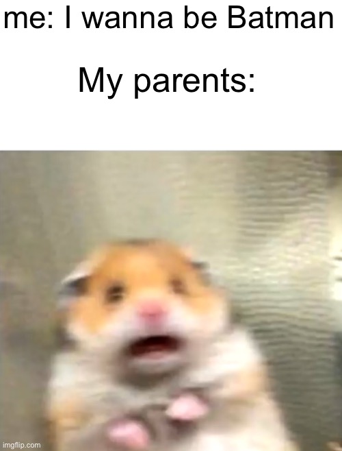 e | me: I wanna be Batman; My parents: | image tagged in scared hamster,memes,idk | made w/ Imgflip meme maker