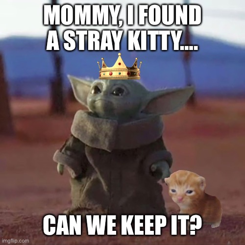Baby yoda finds kitty | MOMMY, I FOUND A STRAY KITTY…. CAN WE KEEP IT? | image tagged in baby yoda | made w/ Imgflip meme maker