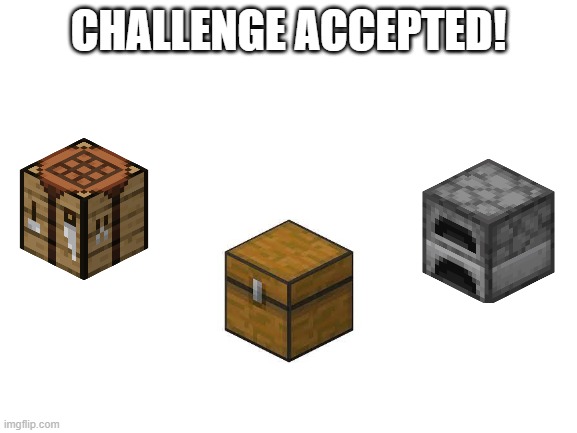 Blank White Template | CHALLENGE ACCEPTED! | image tagged in blank white template | made w/ Imgflip meme maker