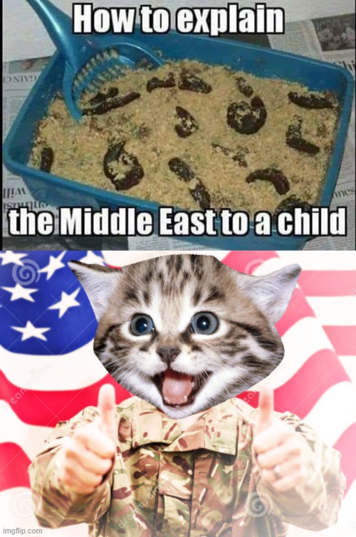 Couldn't do it without parts of Europe. We ... thank? .. you? | image tagged in america,the middle east,war,cats | made w/ Imgflip meme maker