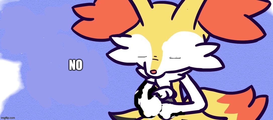 Goodbye Braixen | NO | image tagged in goodbye braixen | made w/ Imgflip meme maker