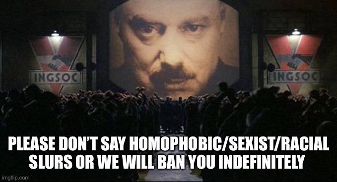 Big Brother 1984 | PLEASE DON’T SAY HOMOPHOBIC/SEXIST/RACIAL SLURS OR WE WILL BAN YOU INDEFINITELY | image tagged in big brother 1984 | made w/ Imgflip meme maker