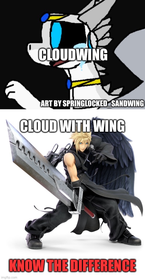 An absolute shitpost | CLOUDWING; ART BY SPRINGLOCKED_SANDWING; CLOUD WITH WING; KNOW THE DIFFERENCE | made w/ Imgflip meme maker