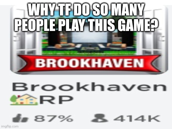 Roblox brookhaven | WHY TF DO SO MANY PEOPLE PLAY THIS GAME? | image tagged in roblox | made w/ Imgflip meme maker