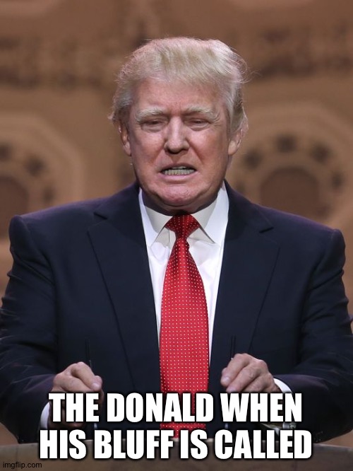He bluffs a lot.  Just call his bluff. | THE DONALD WHEN HIS BLUFF IS CALLED | image tagged in donald trump | made w/ Imgflip meme maker