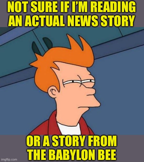 Futurama Fry | NOT SURE IF I’M READING
AN ACTUAL NEWS STORY; OR A STORY FROM
THE BABYLON BEE | image tagged in memes,futurama fry,not sure if,cnn fake news,first world problems,no no hes got a point | made w/ Imgflip meme maker