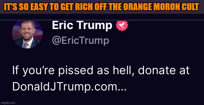 IT'S SO EASY TO GET RICH OFF THE ORANGE MORON CULT | image tagged in politics,funny,cashing in off the orange moron cult | made w/ Imgflip meme maker