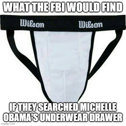 male equipment for males only |  WHAT THE FBI WOULD FIND; IF THEY SEARCHED MICHELLE OBAMA'S UNDERWEAR DRAWER | image tagged in jock,athletic supporter,michelle obama | made w/ Imgflip meme maker