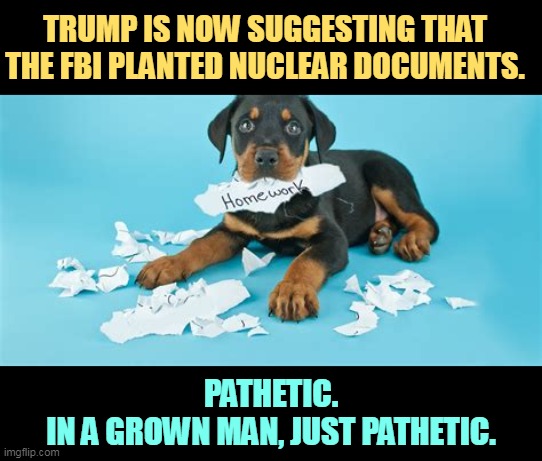 The dog did what? | TRUMP IS NOW SUGGESTING THAT THE FBI PLANTED NUCLEAR DOCUMENTS. PATHETIC.
IN A GROWN MAN, JUST PATHETIC. | image tagged in trump,weak,excuses,pathetic,fbi,nuclear | made w/ Imgflip meme maker