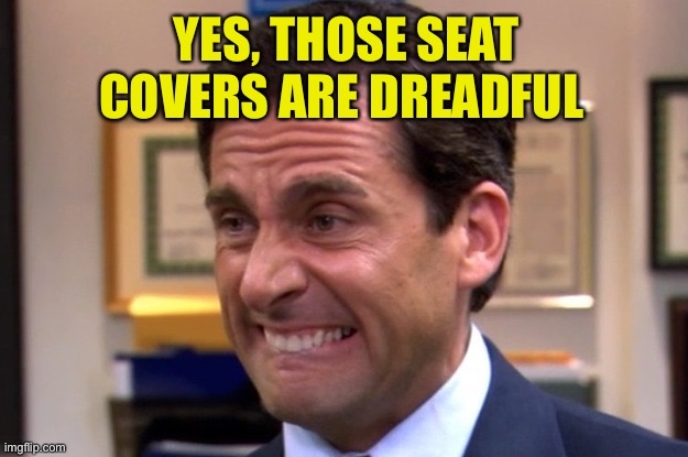 Cringe | YES, THOSE SEAT COVERS ARE DREADFUL | image tagged in cringe | made w/ Imgflip meme maker