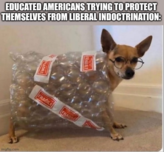 EDUCATED AMERICANS TRYING TO PROTECT THEMSELVES FROM LIBERAL INDOCTRINATION: | image tagged in funny memes | made w/ Imgflip meme maker