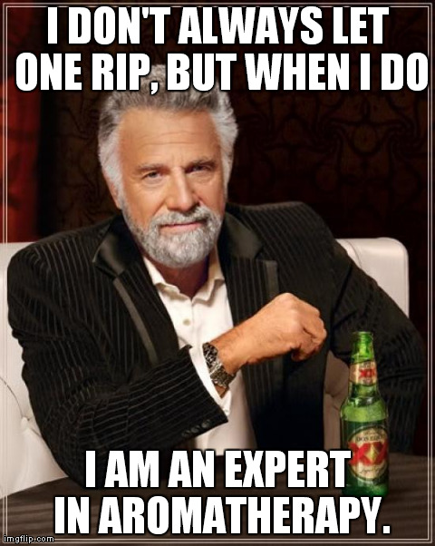 The Most Interesting Man In The World Meme | I DON'T ALWAYS LET ONE RIP, BUT WHEN I DO I AM AN EXPERT IN AROMATHERAPY. | image tagged in memes,the most interesting man in the world | made w/ Imgflip meme maker