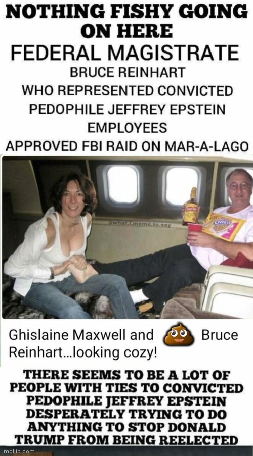 Gmax with Magistrate Bruce Reinhart | 💩 | image tagged in jeffrey epstein | made w/ Imgflip meme maker