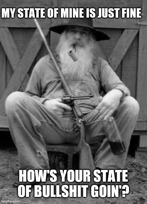 MY STATE OF MINE IS JUST FINE HOW'S YOUR STATE OF BULLSHIT GOIN'? | made w/ Imgflip meme maker