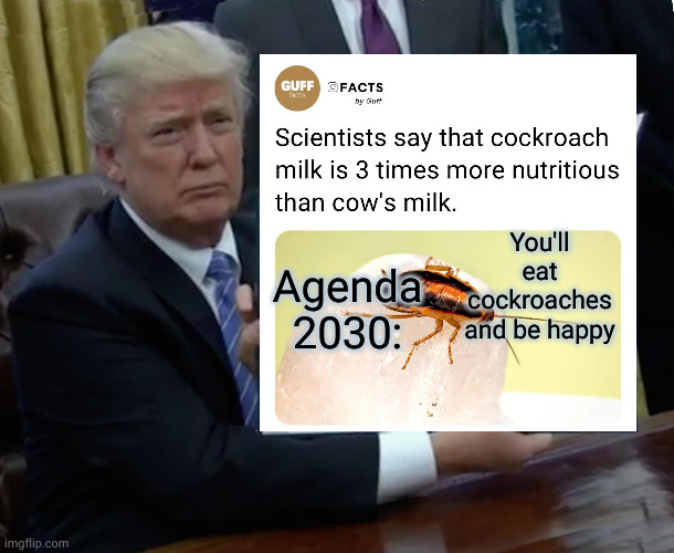 agenda 2030 | Agenda 2030:; You'll eat cockroaches and be happy | image tagged in the great awakening,nwo | made w/ Imgflip meme maker