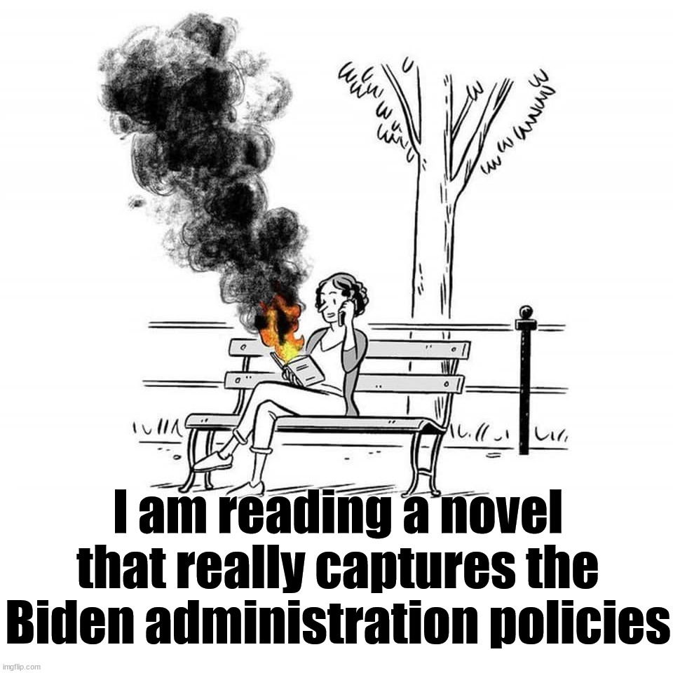 I am reading a novel that really captures the Biden administration policies | image tagged in political meme | made w/ Imgflip meme maker