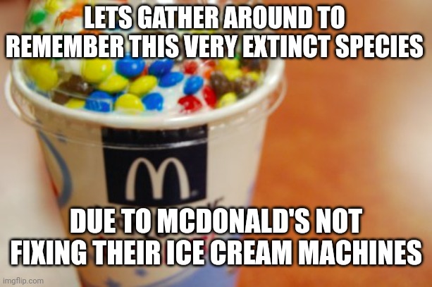 they'll never fix them | LETS GATHER AROUND TO REMEMBER THIS VERY EXTINCT SPECIES; DUE TO MCDONALD'S NOT FIXING THEIR ICE CREAM MACHINES | image tagged in mcflurry | made w/ Imgflip meme maker
