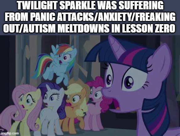 Twilight Sparkle Never Went Crazy in Lesson Zero | TWILIGHT SPARKLE WAS SUFFERING FROM PANIC ATTACKS/ANXIETY/FREAKING OUT/AUTISM MELTDOWNS IN LESSON ZERO | image tagged in mane 6 from friendship is magic are shocked,twilight sparkle,friendship is magic | made w/ Imgflip meme maker