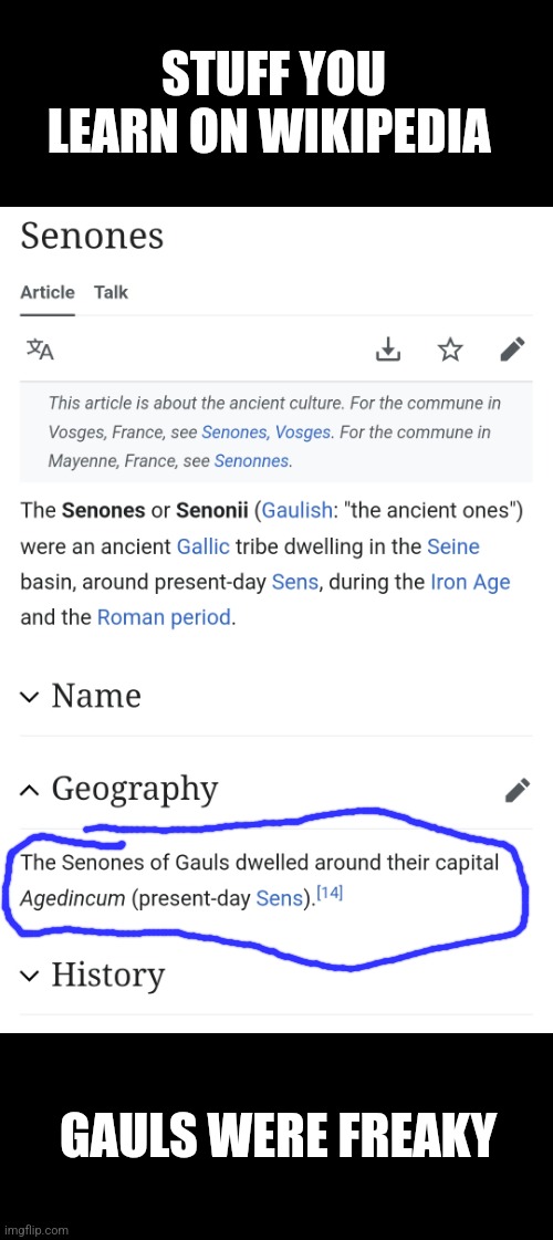 Gauls - Wikipedia