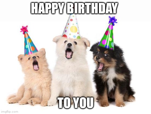 happy birthday puppies | HAPPY BIRTHDAY TO YOU | image tagged in happy birthday puppies | made w/ Imgflip meme maker