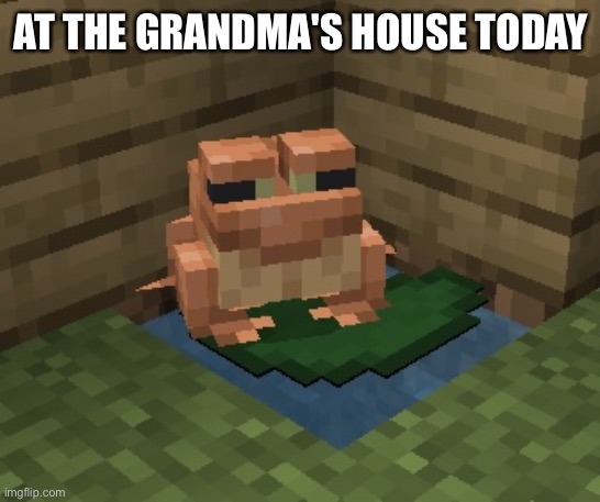n o r m a n. | AT THE GRANDMA'S HOUSE TODAY | image tagged in n o r m a n | made w/ Imgflip meme maker
