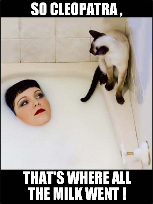 Cat Disappointed In Her Owner ! | SO CLEOPATRA , THAT'S WHERE ALL
THE MILK WENT ! | image tagged in cats,cleopatra,bathtub,milk | made w/ Imgflip meme maker