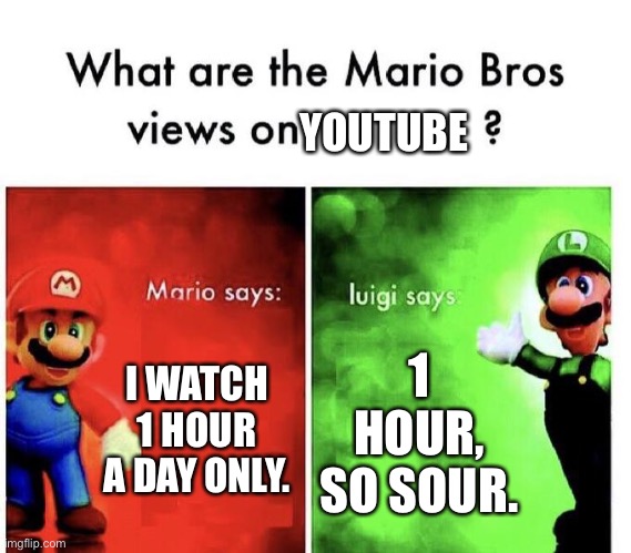 YouTube | YOUTUBE; I WATCH 1 HOUR A DAY ONLY. 1 HOUR, SO SOUR. | image tagged in mario bros views | made w/ Imgflip meme maker