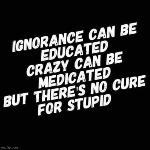 Ignorance | image tagged in ignorance | made w/ Imgflip meme maker