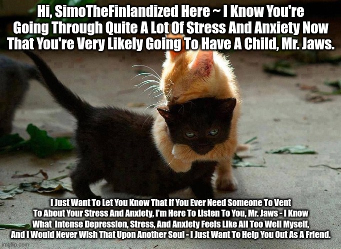 A Message To Mr. Jaws (From SimoTheFinlandized) | Hi, SimoTheFinlandized Here ~ I Know You're Going Through Quite A Lot Of Stress And Anxiety Now That You're Very Likely Going To Have A Child, Mr. Jaws. I Just Want To Let You Know That If You Ever Need Someone To Vent To About Your Stress And Anxiety, I'm Here To Listen To You, Mr. Jaws - I Know What  Intense Depression, Stress, And Anxiety Feels Like All Too Well Myself, And I Would Never Wish That Upon Another Soul - I Just Want To Help You Out As A Friend. | image tagged in kitten hug,simothefinandized | made w/ Imgflip meme maker