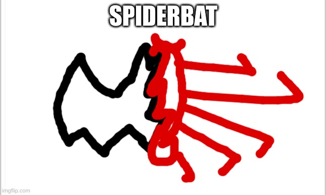 white background | SPIDERBAT | image tagged in white background | made w/ Imgflip meme maker