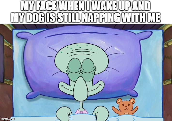 doggo bed meme | MY FACE WHEN I WAKE UP AND MY DOG IS STILL NAPPING WITH ME | image tagged in sleeping squidward,dog memes,dog,sleep | made w/ Imgflip meme maker