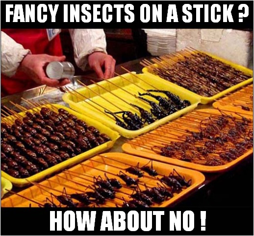 Alternative Fast Food ? | FANCY INSECTS ON A STICK ? HOW ABOUT NO ! | image tagged in fast food,insects,how about no | made w/ Imgflip meme maker