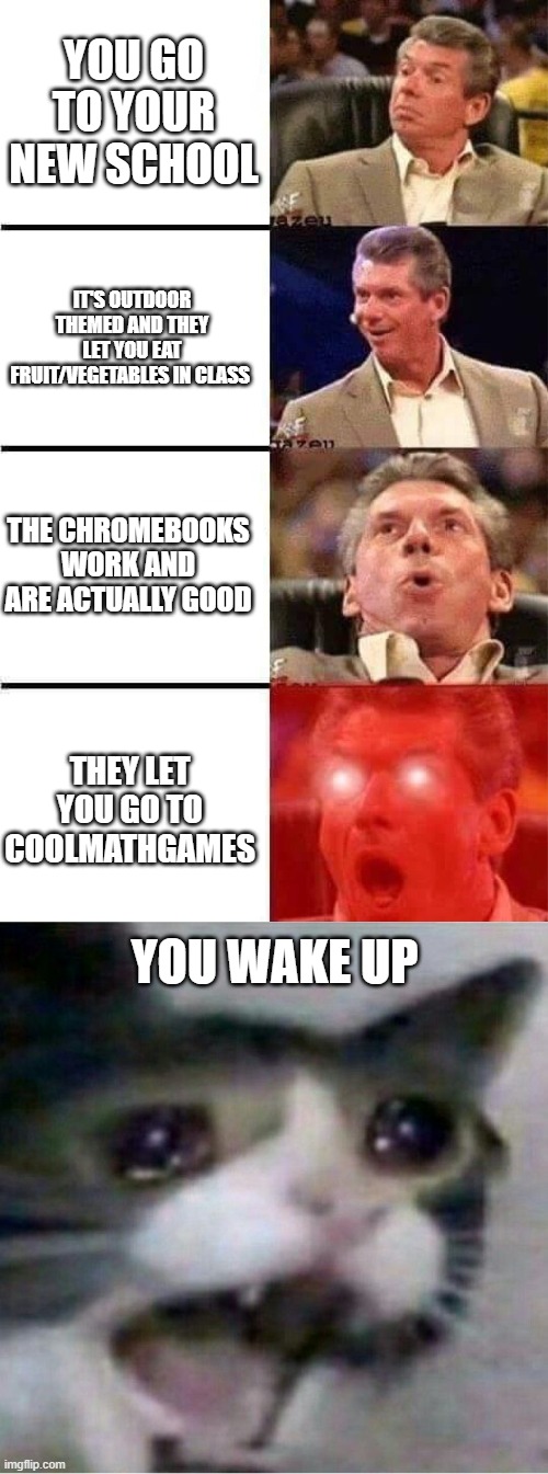 YOU GO TO YOUR NEW SCHOOL; IT'S OUTDOOR THEMED AND THEY LET YOU EAT FRUIT/VEGETABLES IN CLASS; THE CHROMEBOOKS WORK AND ARE ACTUALLY GOOD; THEY LET YOU GO TO COOLMATHGAMES; YOU WAKE UP | image tagged in vince mcmahon reaction w/glowing eyes,crying cat | made w/ Imgflip meme maker